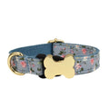 Flat nylon dog collar with bone buckle in assorted colours on a white background.
