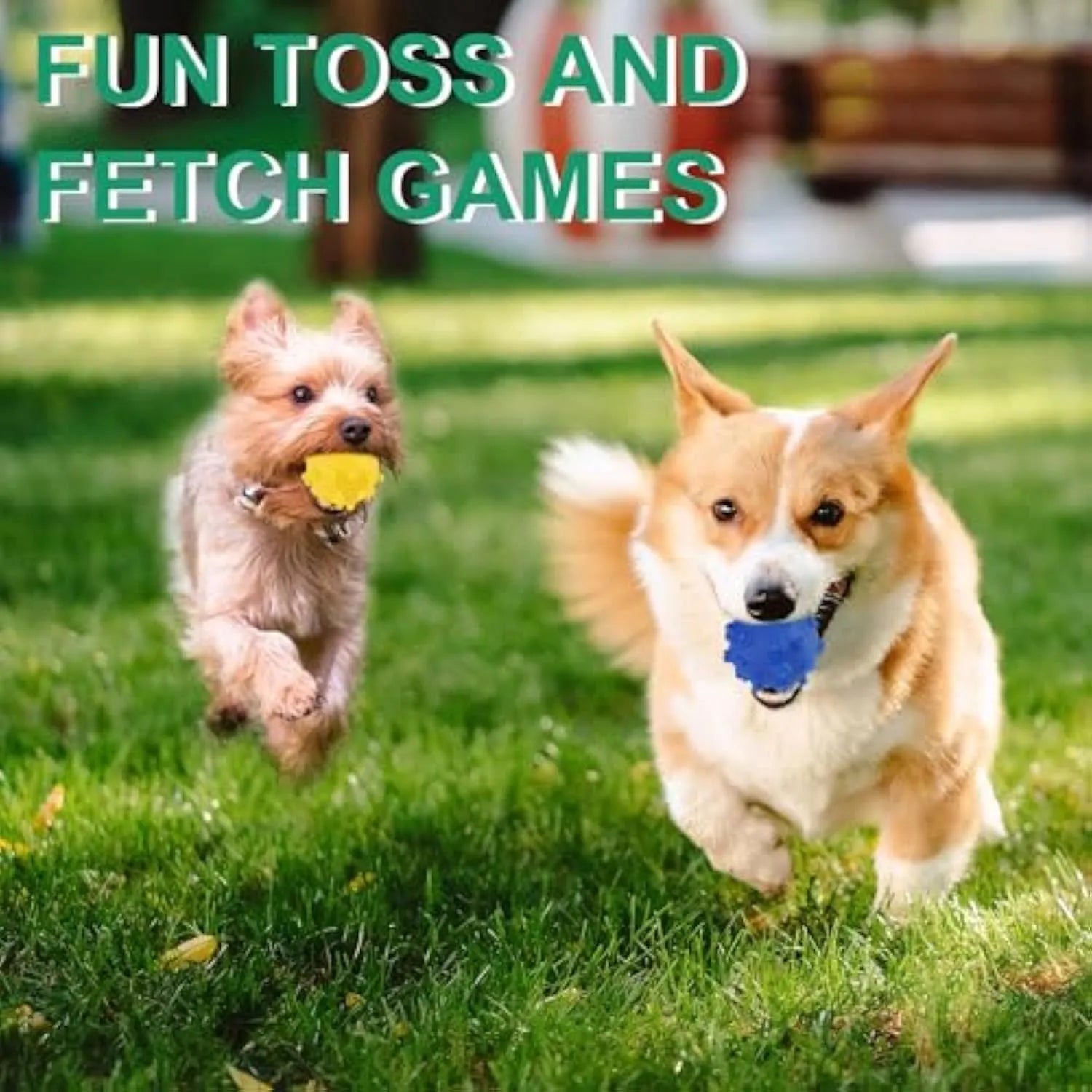 Bright coloured spike-textured dog toy balls with squeaker for small breed dogs