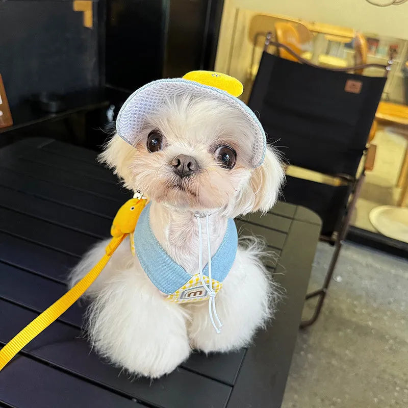 Pet harness and leash set with wire rope construction and three-piece cat clothes in multiple sizes