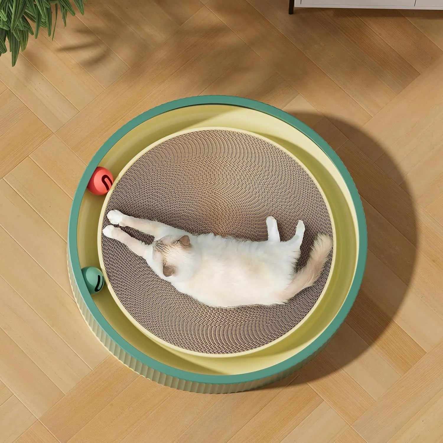Large green circular cat scratching board with replaceable core and integrated ball toys