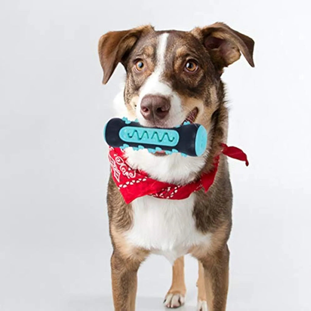 Natural rubber dog toothbrush chew toy in blue colour, showing textured surface for cleaning teeth.