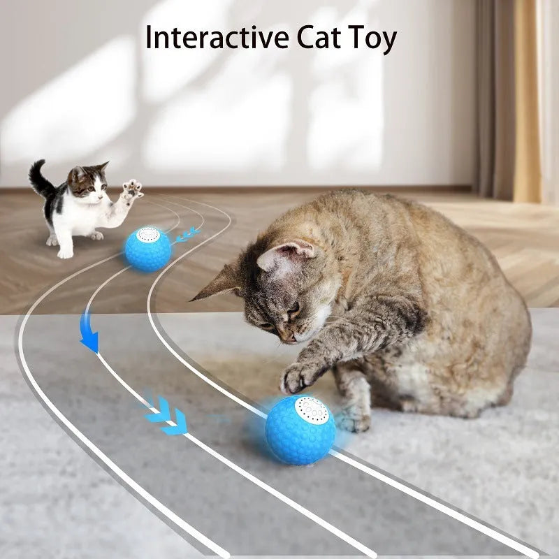 Remote control cat ball in blue, green and yellow colours with rolling motion and sound features