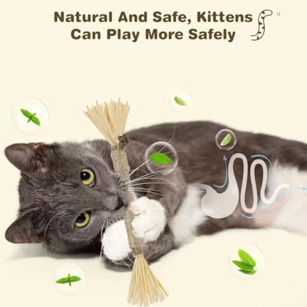 Three natural silvervine chew sticks for cats on wooden surface
