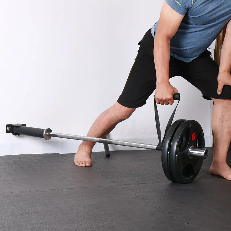 Wall-mounted steel barbell gun barrel rack with 25 tubes for sports equipment storage.