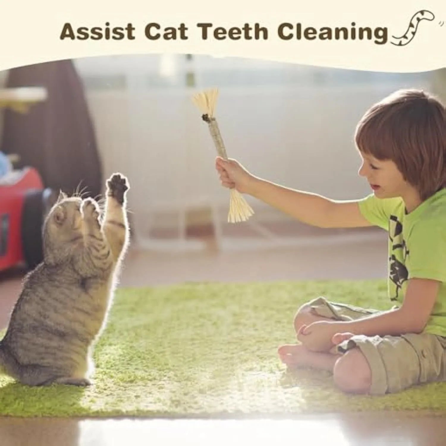Three natural silvervine chew sticks for cats on wooden surface
