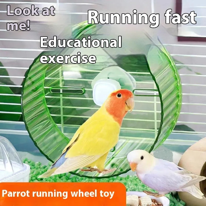 A 21cm diameter plastic parrot running wheel toy in a choice of transparent, green, grey, orange, or purple colours.