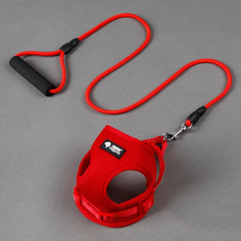 Blue nylon dog leash and adjustable collar with foam handle for small to medium dogs.