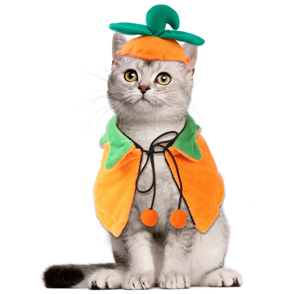 Orange plush pumpkin cloak with hood for a dog on Halloween