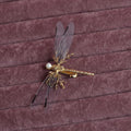 Golden dragonfly side clip headdress with electroplated alloy construction and jucai decoration