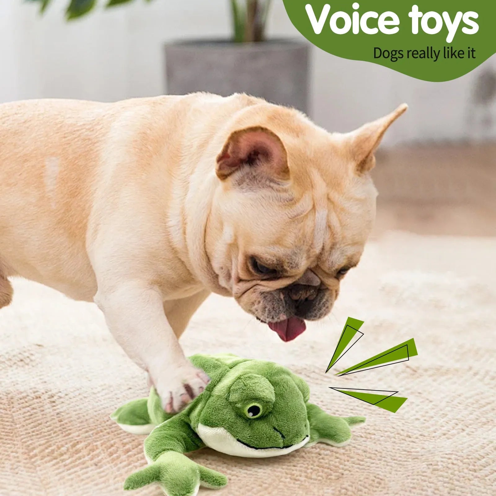 Green pet plush toy sound bite-resistant 27 cm dog toy for Golden Retrievers