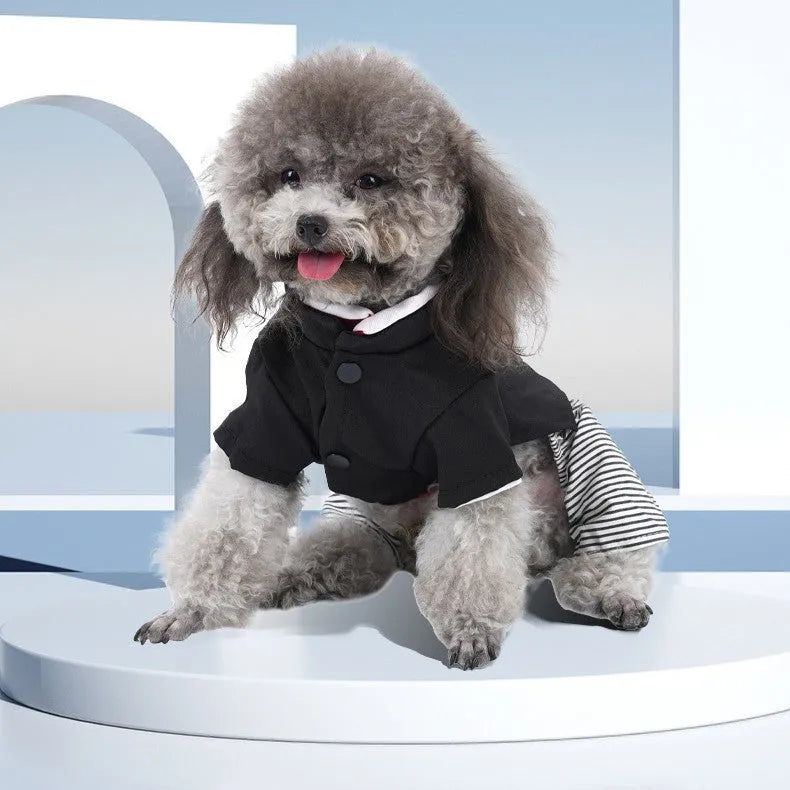 Thin cotton poodle dog clothes in skirt and trouser styles for seasonal wear