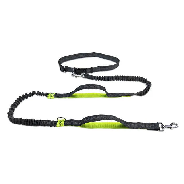 Adjustable nylon pet leash in fluorescent green, orange, and light blue on a white background