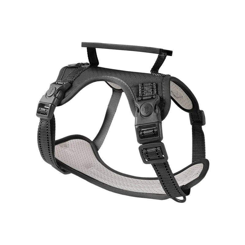 Adjustable polyester dog chest harness and matching lead shown in one of six available colours.