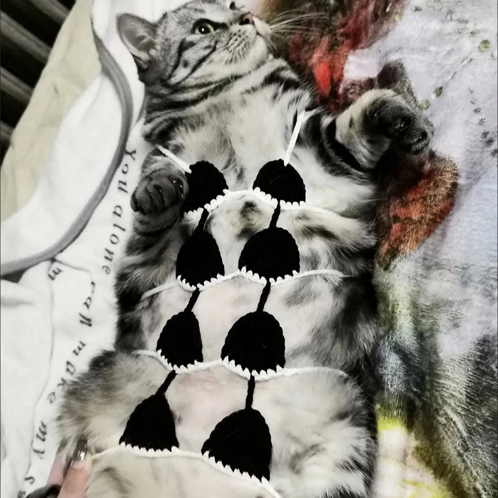 Cat wearing a bikini costume set in a choice of colours for Halloween or party dress-up.