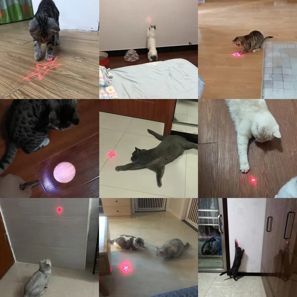 USB rechargeable infrared cat teaser toy with key chain attachment in pink or black colour