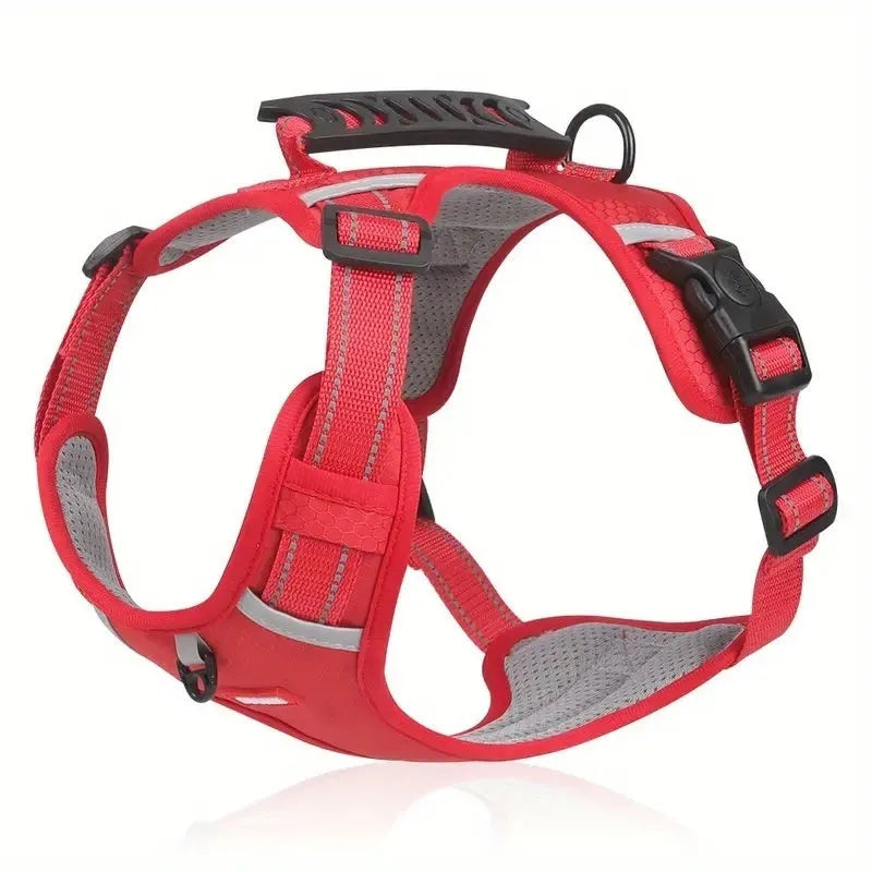 Adjustable polyester dog chest harness and matching lead shown in one of six available colours.