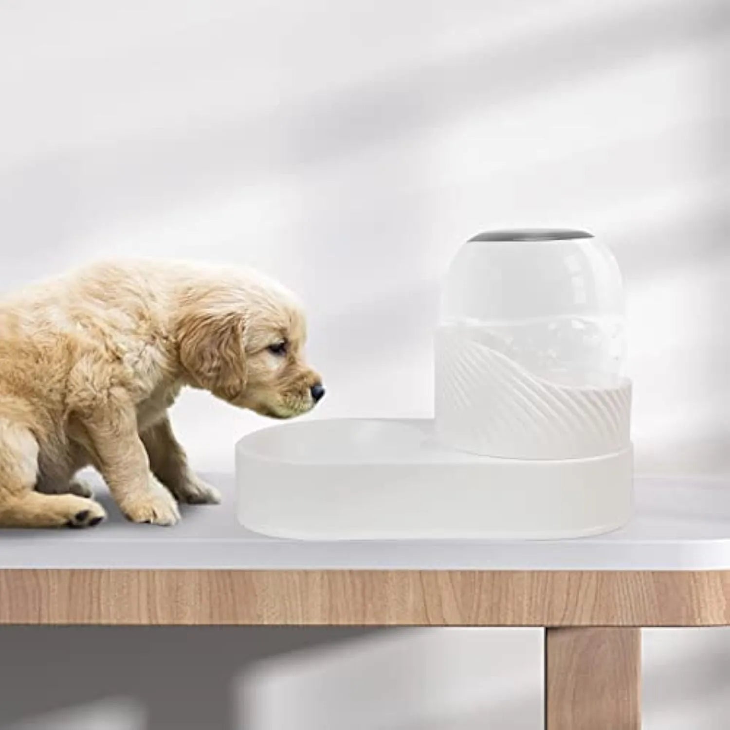 White automatic cat feeder and water dispenser set with 2 litre capacity gravity system