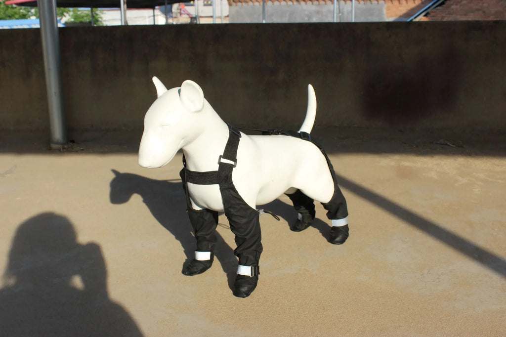 Black waterproof dog shoes with strap closure and non-slip soles for paw protection