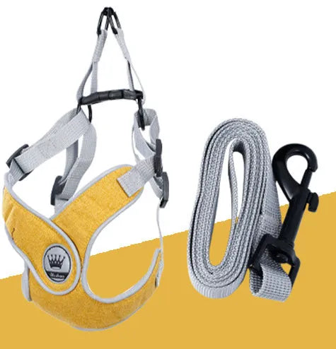 Adjustable dog harness with breathable mesh and metal back ring, shown with matching leash