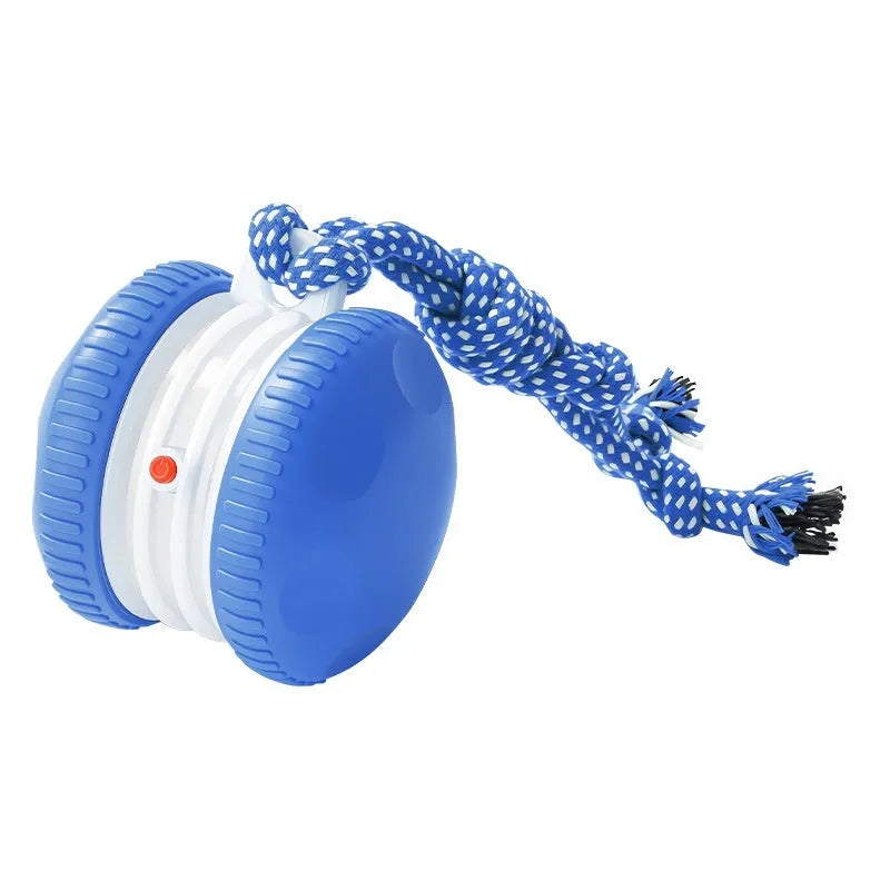 Rechargeable orange rolling ball pet toy made from durable ABS plastic with automatic movement for cats and dogs