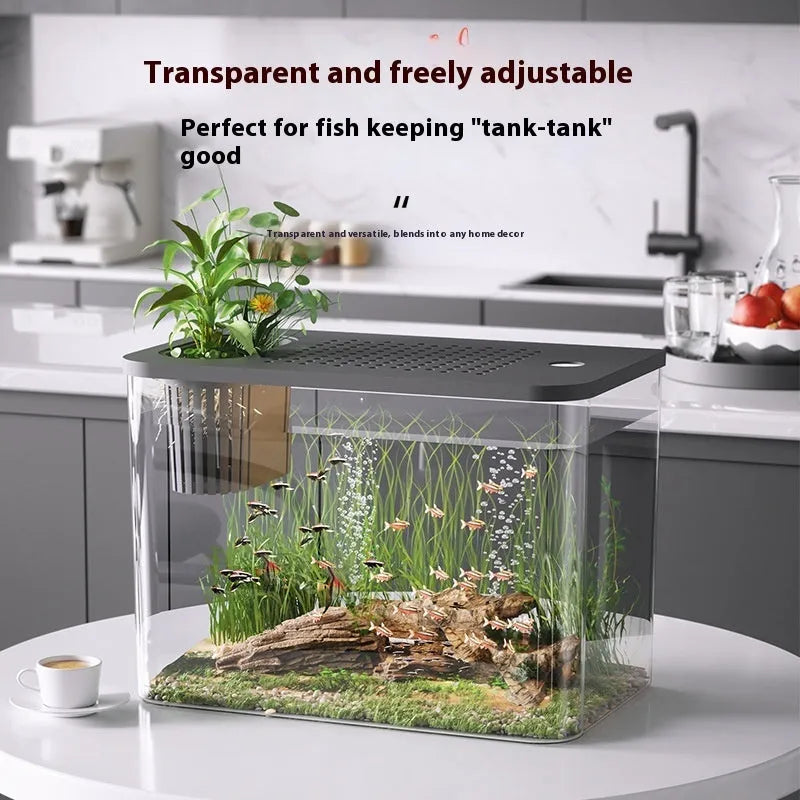 Black plastic betta fish tank with cover measuring 32cm long for living room decor