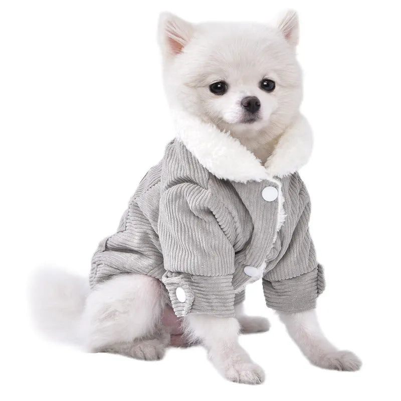 Lambswool grey dog vest with wool lining shown on pet model in size M