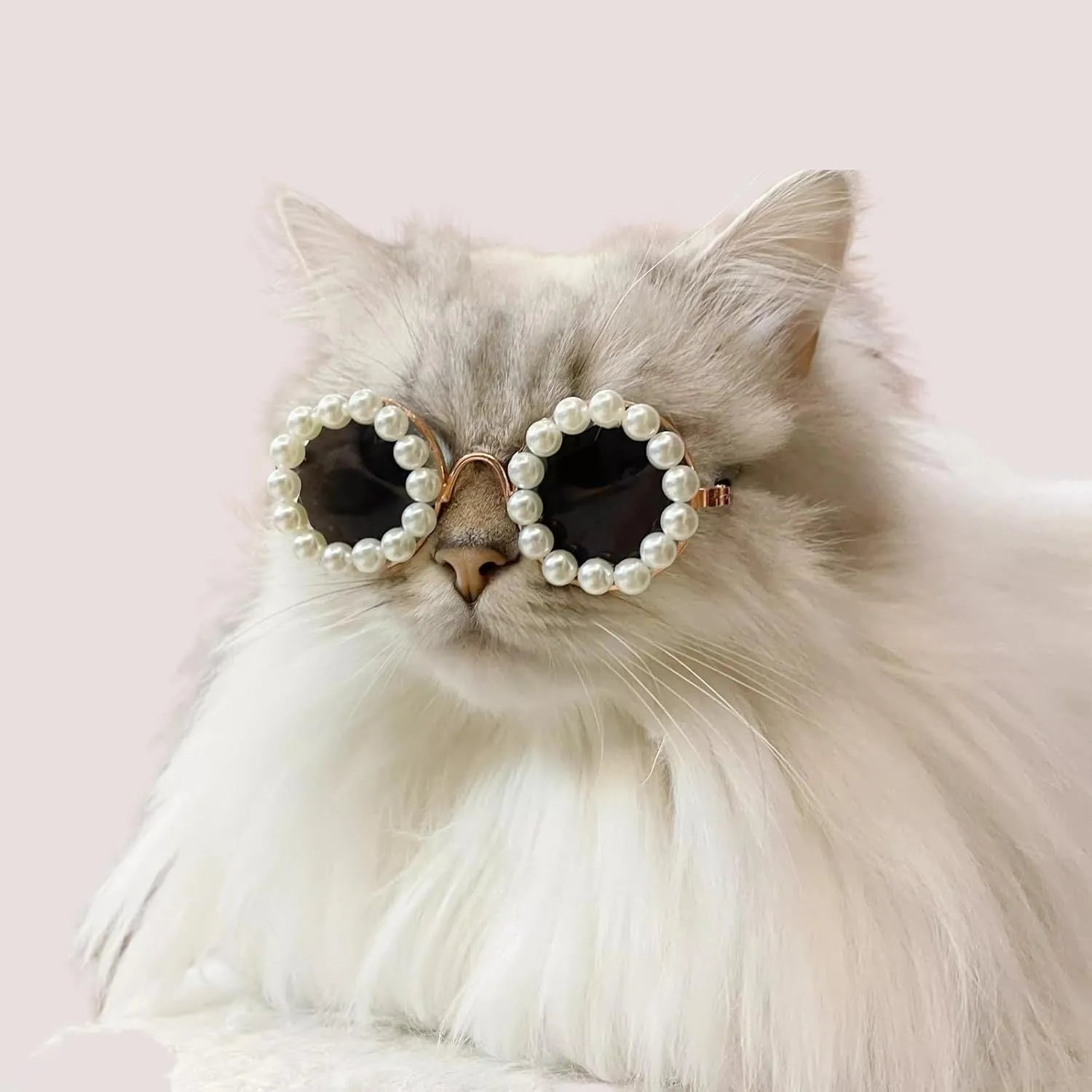 Pearl-rimmed round sunglasses for cats and dogs in five colour options with two size choices