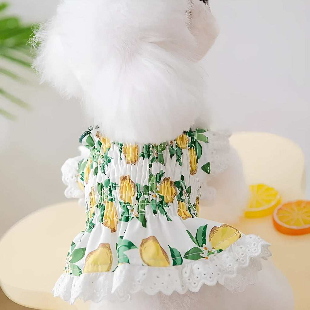 Rock yellow lemon polyester dog dress with adjustable strap skirt in princess style for small dogs