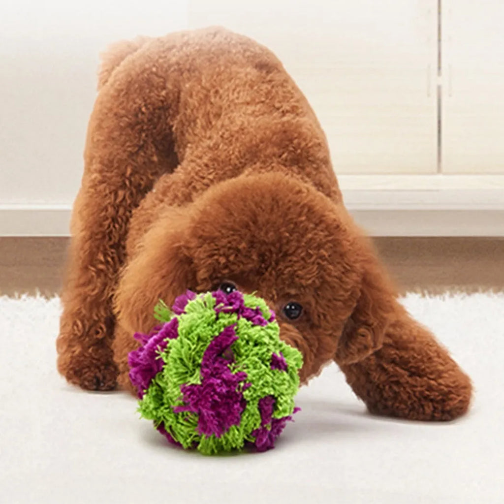 Purple plush dog ball toy with seaweed ball design for teething and interactive play