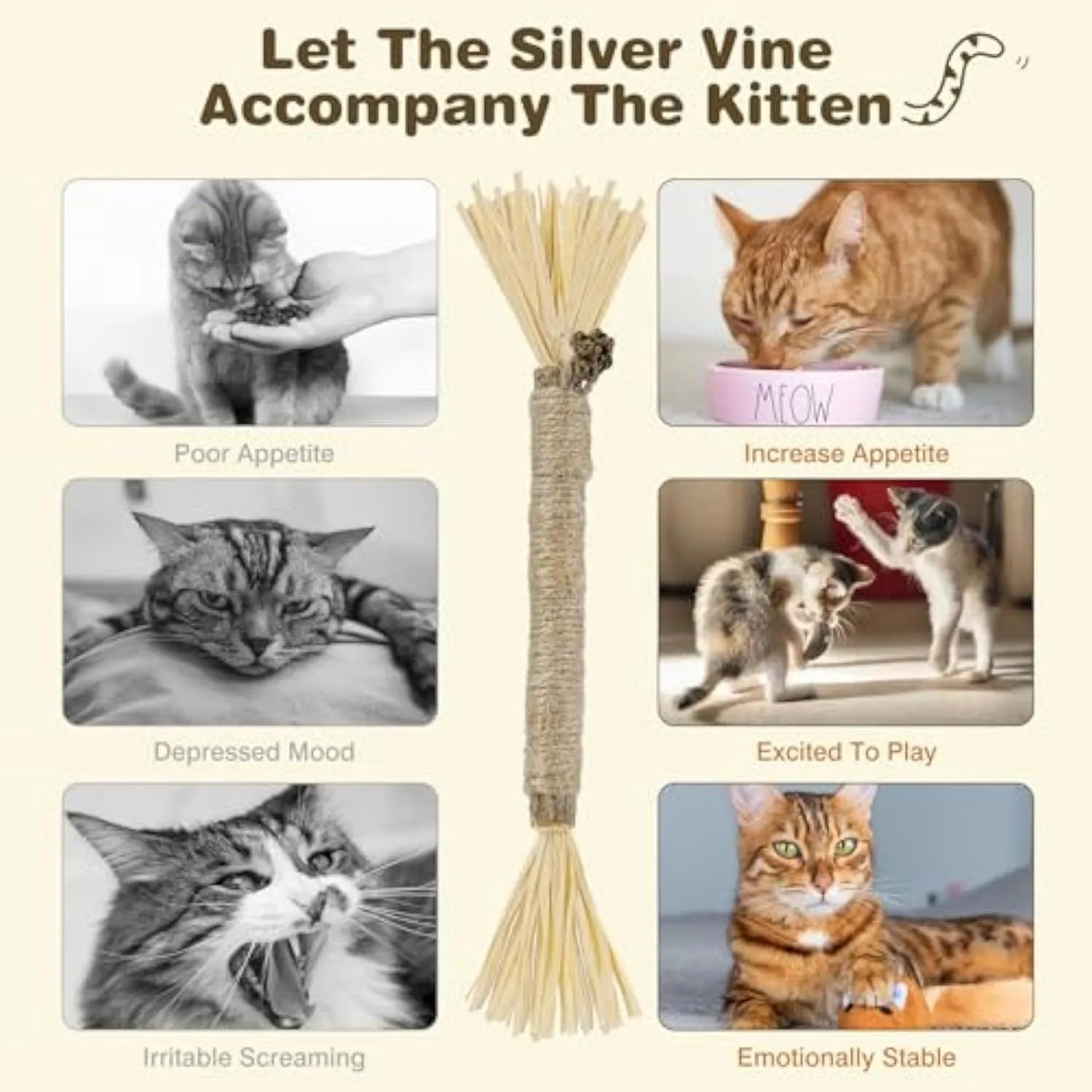 Three natural silvervine chew sticks for cats on wooden surface
