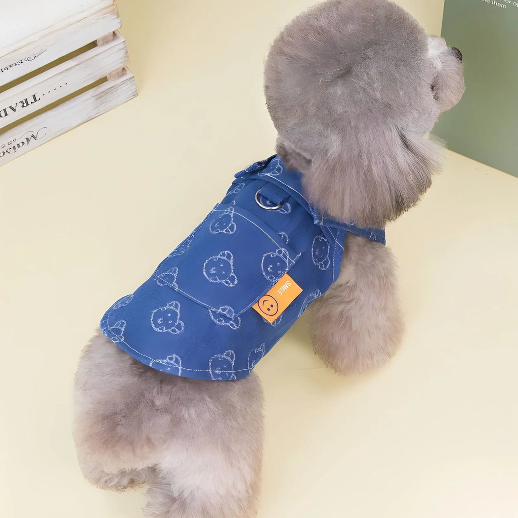 Denim princess dress for small dog in bracket-skirt style, spring and autumn thin design