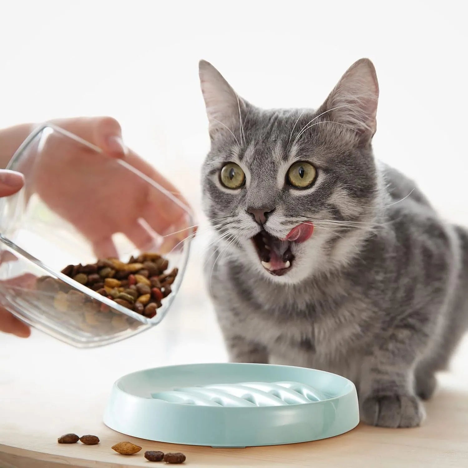 Green melamine fishbone slow feeder bowl for cats with raised ridges on a plain background