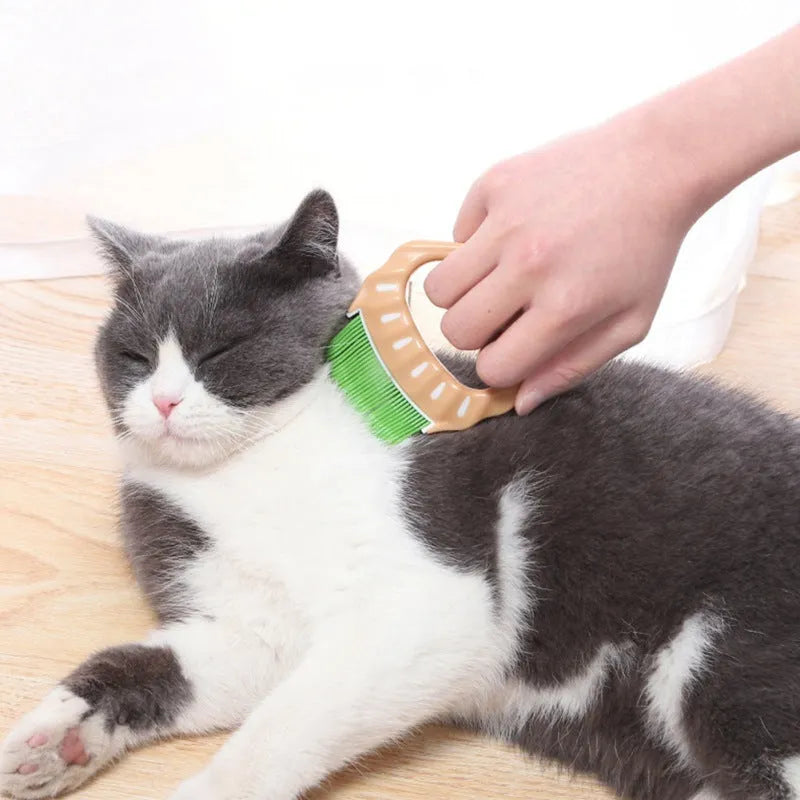 Shell-shaped pet grooming brush with bent wire bristles in green colour