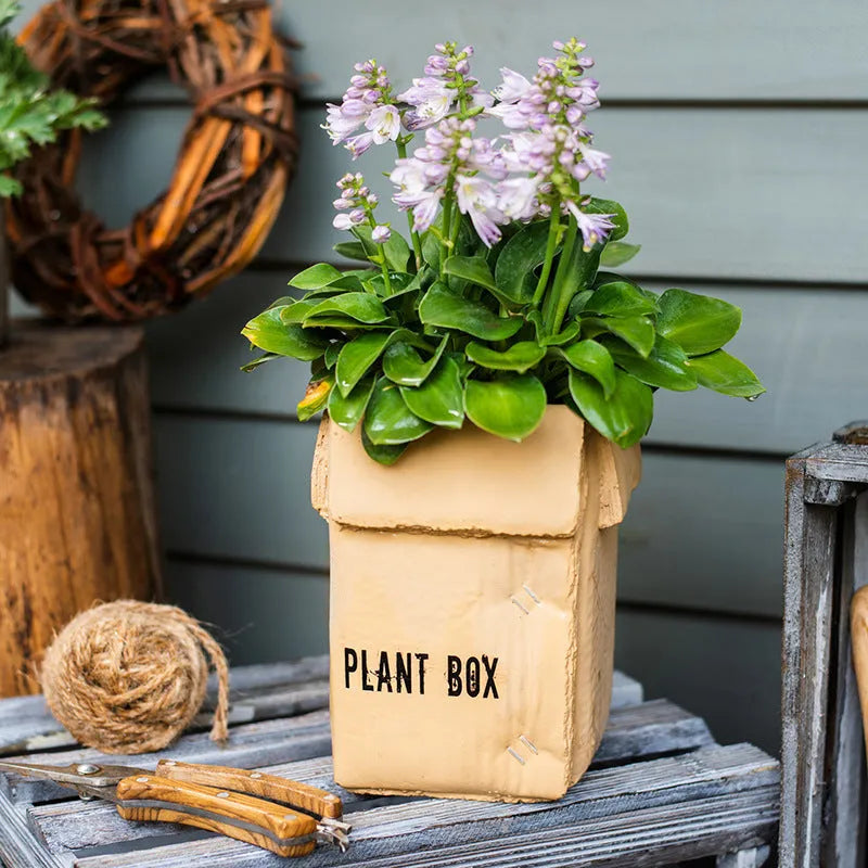 Cement flowerpot with pre-punched drainage hole in Nordic-style cement brown paper box design