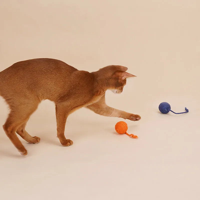 Cat toy set with 255mm teaser wand and catnip ball in blue, green, and multi-colour options