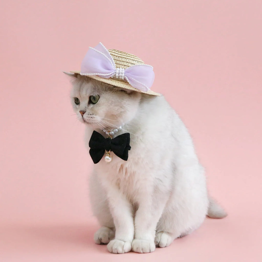 Cat wearing a woven straw hat with a pearl butterfly bow on its head.