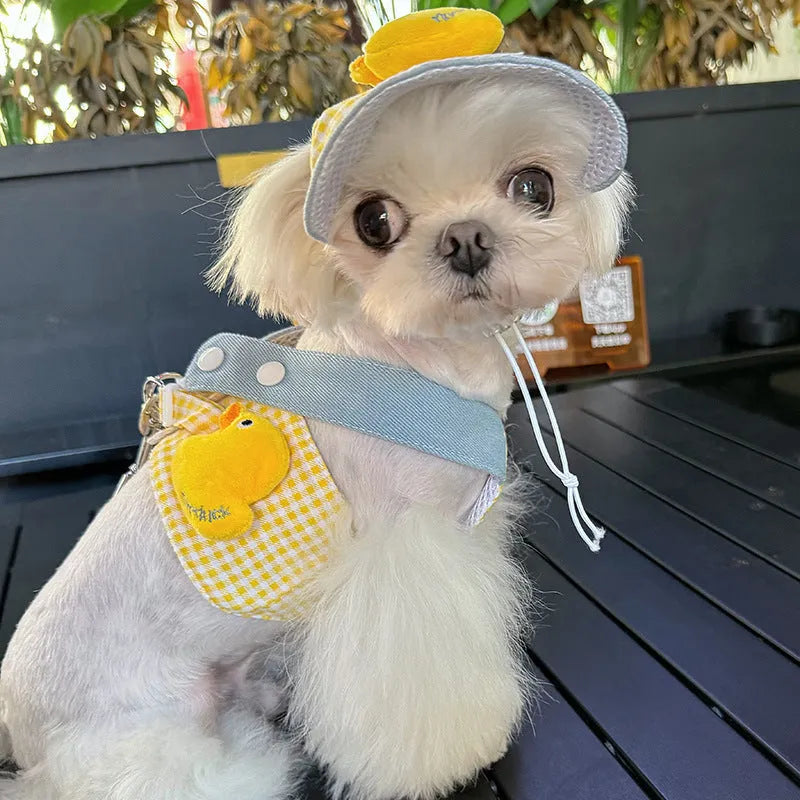Pet harness and leash set with wire rope construction and three-piece cat clothes in multiple sizes
