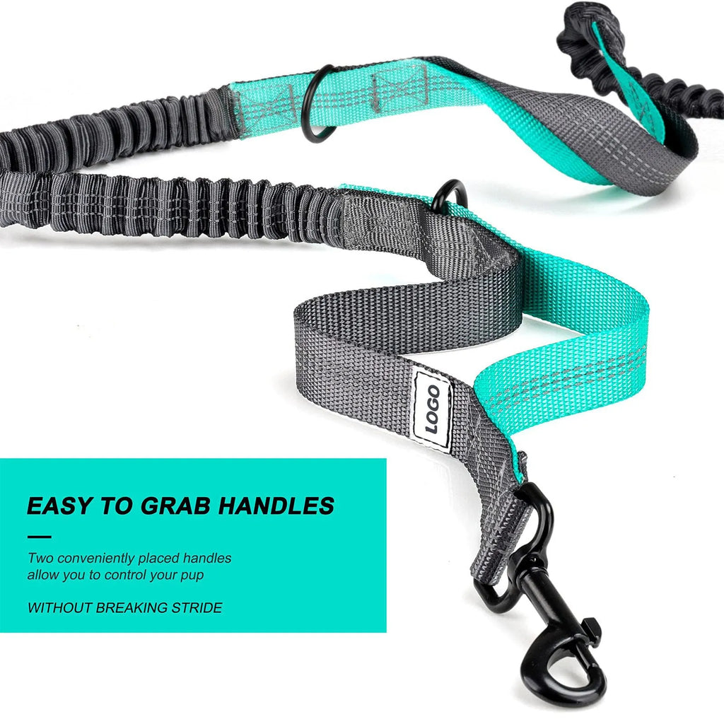 Black nylon outdoor pet training bag set with waist bag, dog leash, and collar components