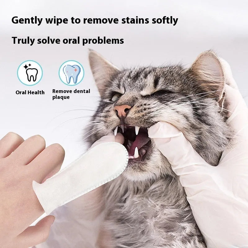 50 non-woven pet dental finger stalls for cleaning cat and dog teeth