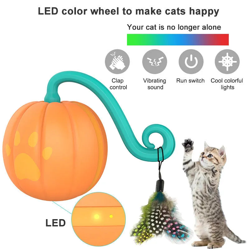 Electric cat toy with LED lights in watermelon and pumpkin designs showing automatic movement feature