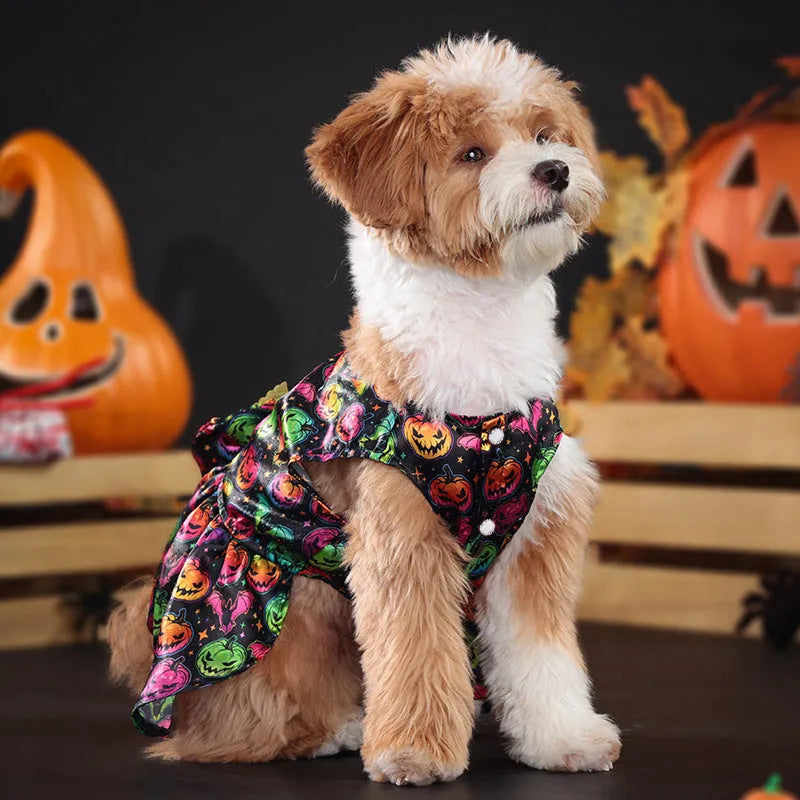 Dog wearing orange angel wings Halloween costume with bright pumpkin colour.