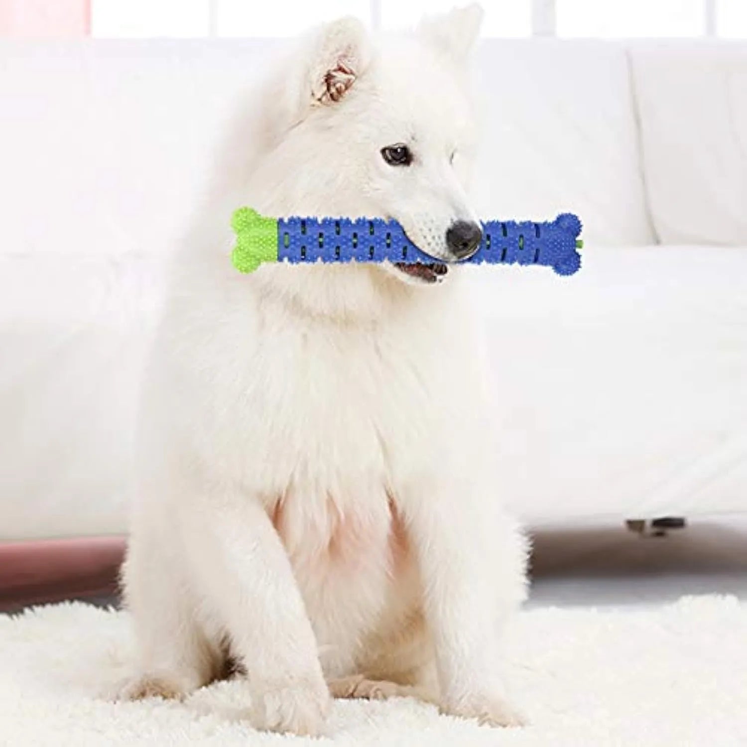 Blue-green silicone dog dental chew toy with brush head design and gum massage nodules for teeth cleaning