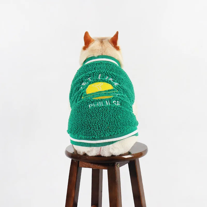 Green fleece-lined winter coat for dogs on larger breed in cotton fabric