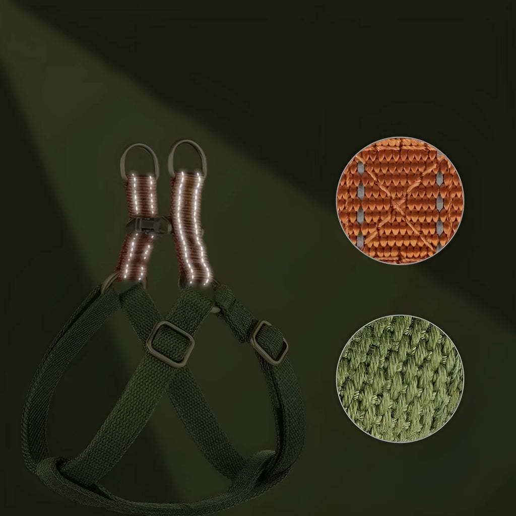 Brown vest-style dog leash with alloy fastener shown on a model dog.