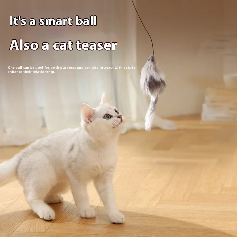 Automatic cat teasing ball toy with plush mouse attachment in blue orange colour