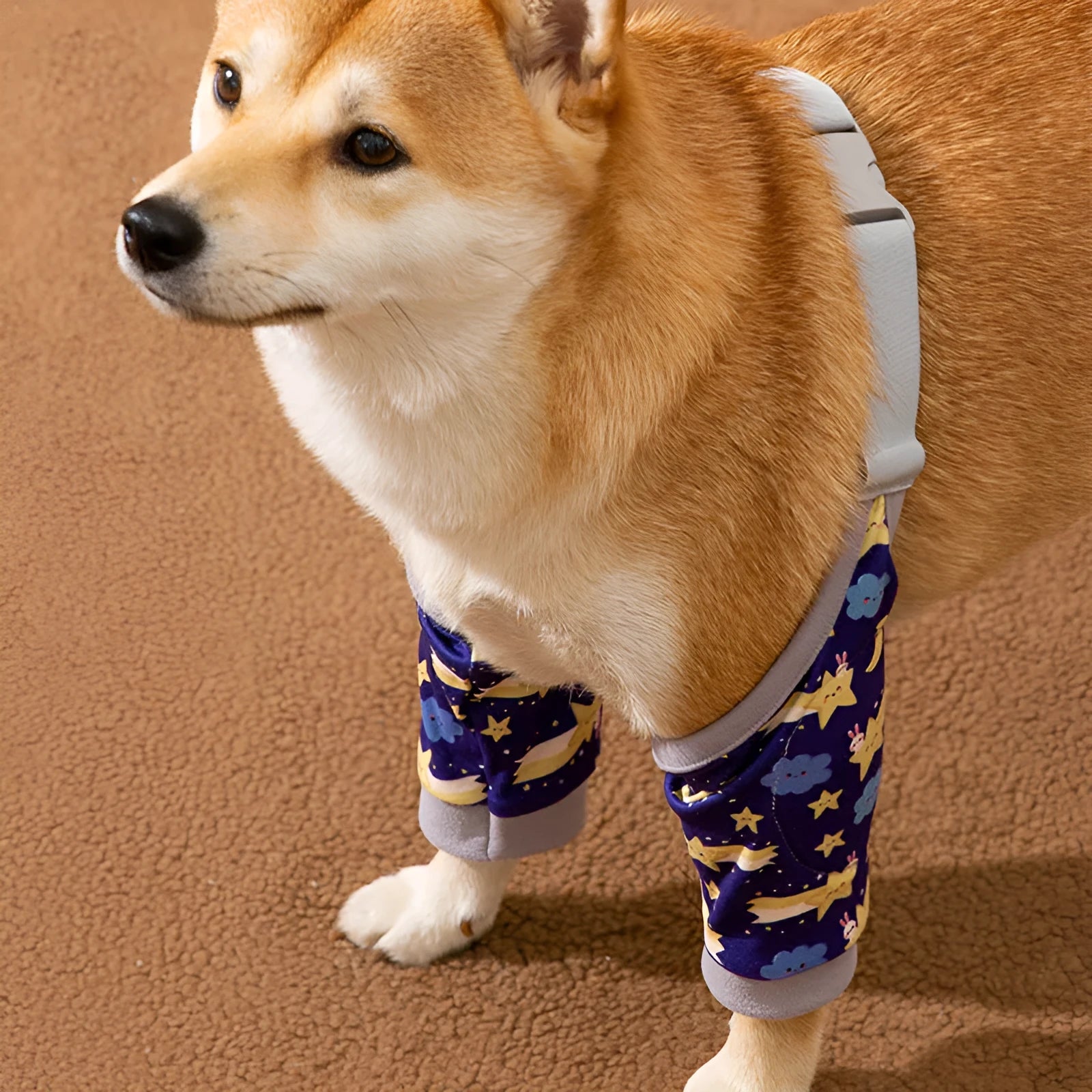 Pet knee pad anti-dirty anti-gray joint protective cover for dogs in blue, gray, and yellow, polyester material