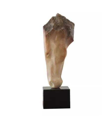 French retro abstract horse head sculpture desktop ornament measuring 50cm tall with carved surface
