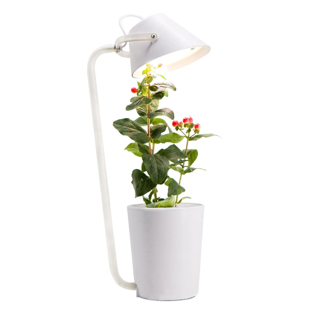 White plastic desktop hydroponic plant growth machine for soilless indoor cultivation.