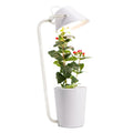 White plastic desktop hydroponic plant growth machine for soilless indoor cultivation.