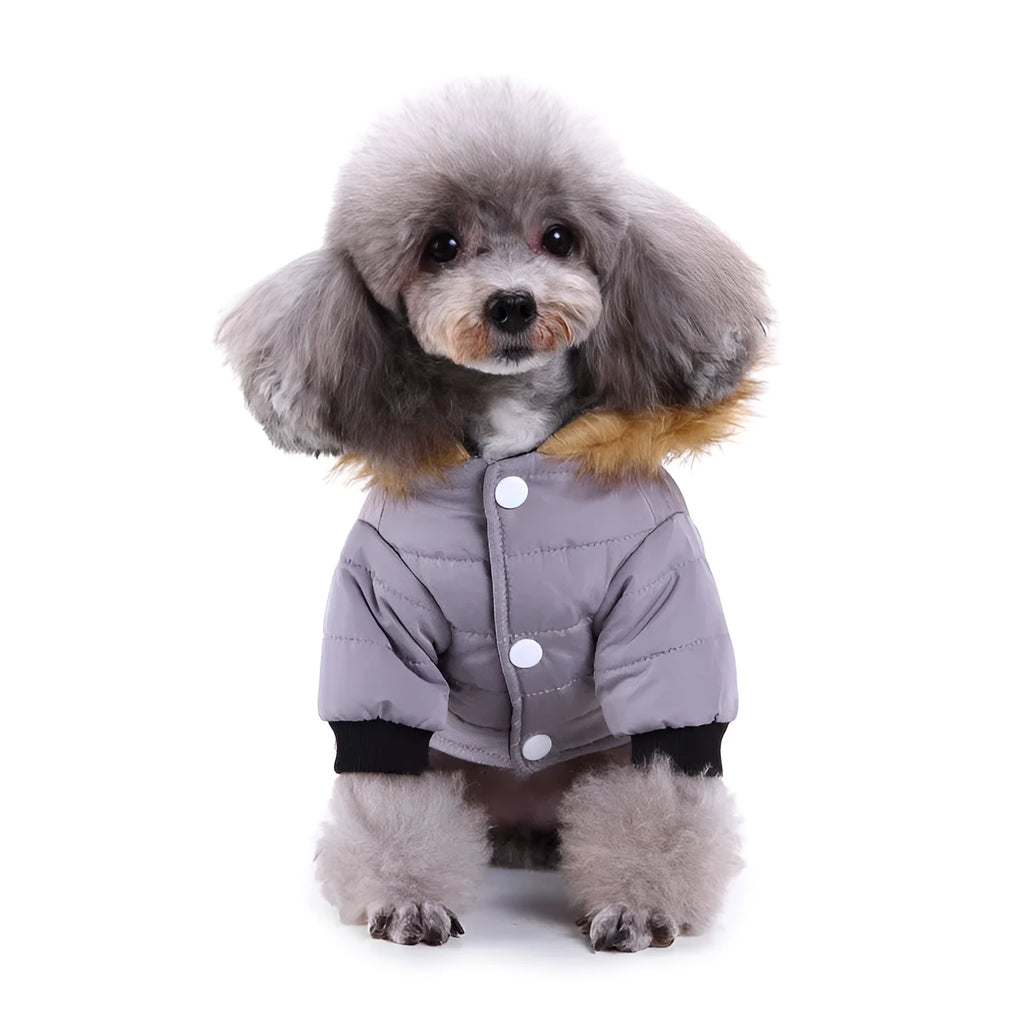 Winter pet dog coat polyester cotton lining available in green grey and red sizes S M L XL